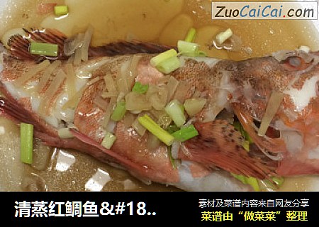 清蒸紅鲷魚·封面圖
