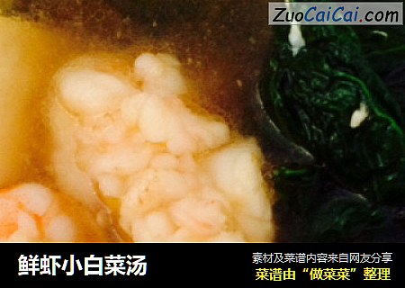 鮮蝦小白菜湯封面圖