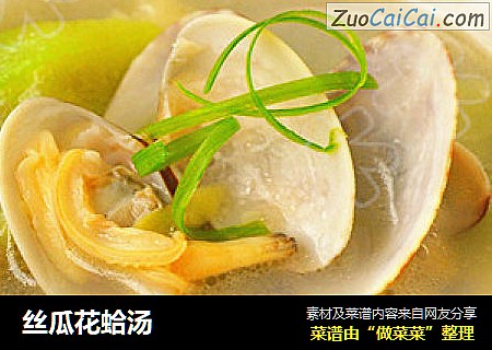 絲瓜花蛤湯封面圖