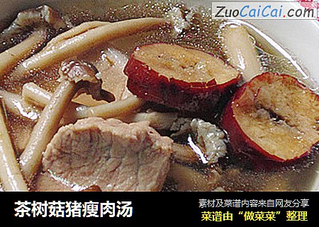 茶樹菇豬瘦肉湯封面圖
