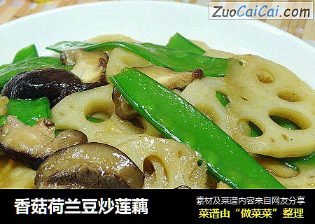 香菇荷蘭豆炒蓮藕封面圖