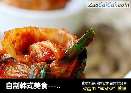 自製韓式美食-----韓式辣白菜封面圖