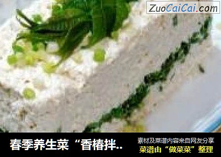 春季養生菜“香椿拌豆腐”封面圖
