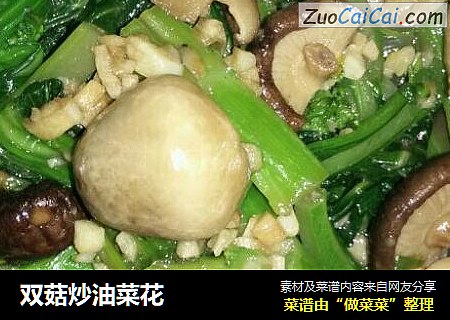 雙菇炒油菜花封面圖
