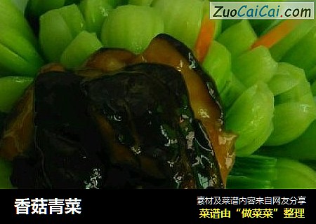 香菇青菜封面圖