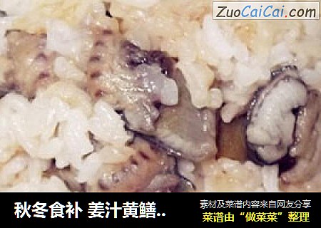 秋冬食补 姜汁黄鳝焗饭
