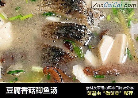 豆腐香菇鲫鱼汤