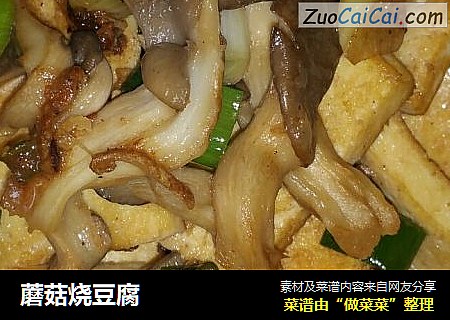 蘑菇燒豆腐封面圖