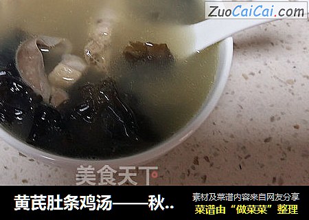 黃芪肚條雞湯——秋冬季的湯湯水水封面圖