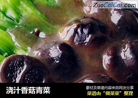 澆汁香菇青菜封面圖