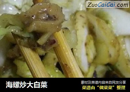 海螺炒大白菜封面圖
