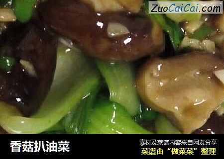 香菇扒油菜封面圖