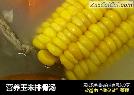 营养玉米排骨汤