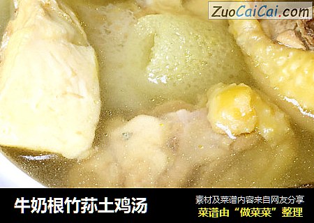 牛奶根竹荪土鸡汤