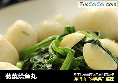 菠菜燴魚丸封面圖