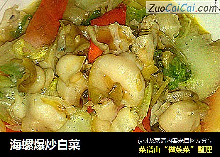 海螺爆炒白菜