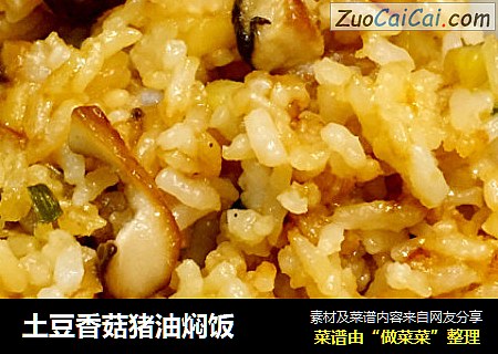 土豆香菇豬油焖飯封面圖