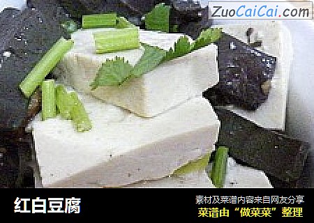紅白豆腐封面圖