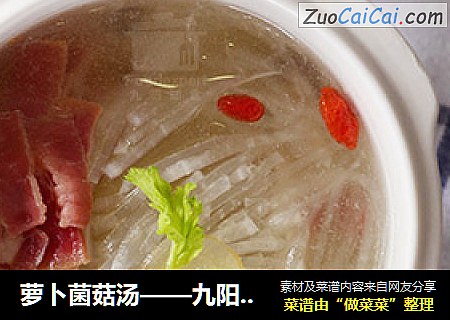 蘿蔔菌菇湯——九陽知食封面圖