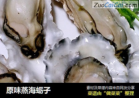 原味蒸海蛎子封面圖