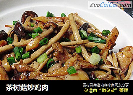 茶樹菇炒雞肉封面圖