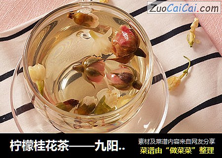 柠檬桂花茶——九阳知食