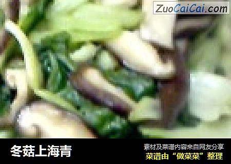 冬菇上海青封面圖