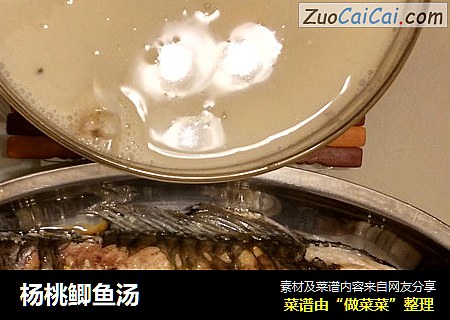 楊桃鲫魚湯封面圖