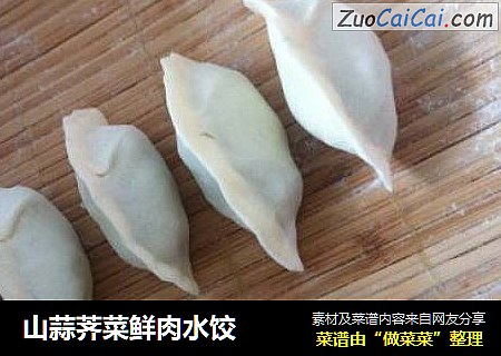 山蒜荠菜鮮肉水餃封面圖