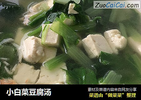 小白菜豆腐湯封面圖