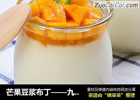 芒果豆浆布丁——九阳知食