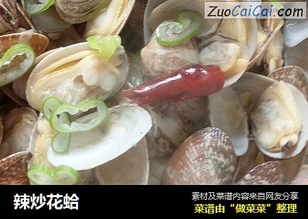 辣炒花蛤封面圖