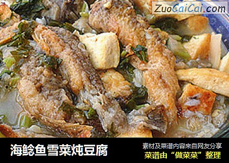 海鲶鱼雪菜炖豆腐