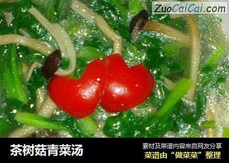 茶樹菇青菜湯封面圖