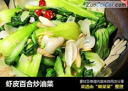 蝦皮百合炒油菜封面圖