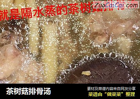 茶樹菇排骨湯封面圖