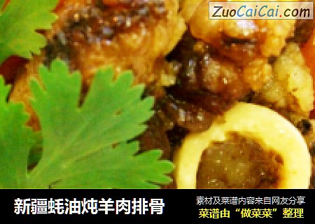 新疆蚝油炖羊肉排骨封面圖
