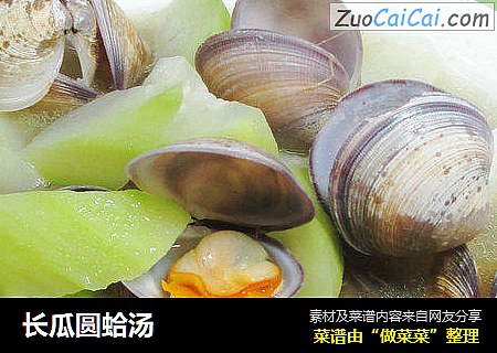長瓜圓蛤湯封面圖