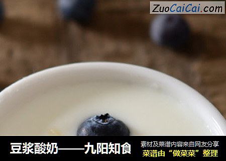 豆漿酸奶——九陽知食封面圖