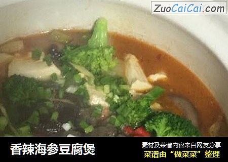 香辣海參豆腐煲封面圖