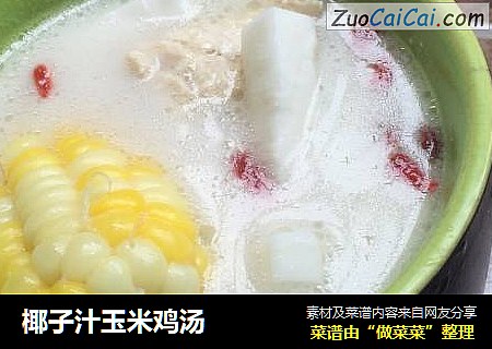 椰子汁玉米雞湯封面圖