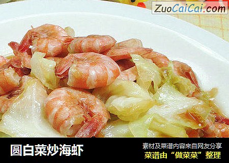 圓白菜炒海蝦 封面圖