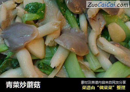 青菜炒蘑菇封面圖