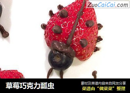 草莓巧克力瓢虫