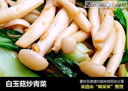 白玉菇炒青菜封面圖