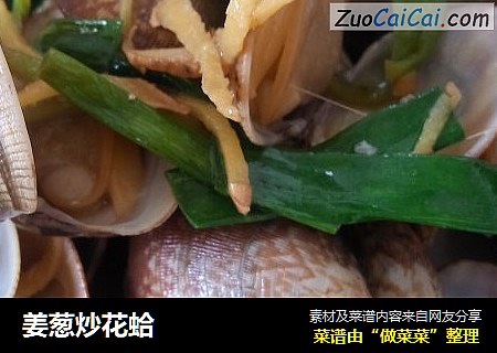 姜蔥炒花蛤封面圖