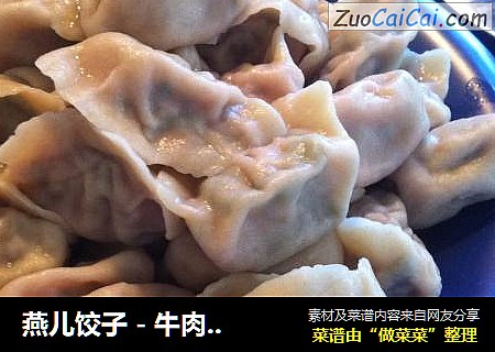 燕兒餃子 - 牛肉胡蘿蔔餡封面圖