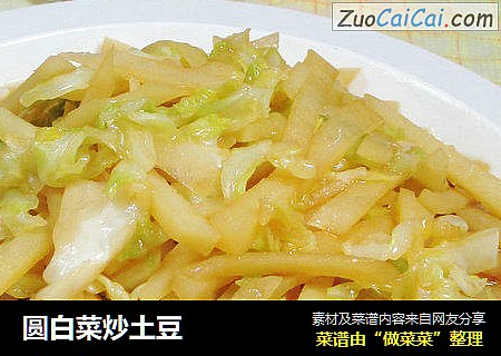 圓白菜炒土豆 封面圖