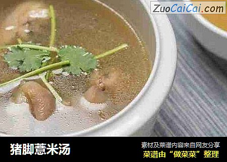 豬腳薏米湯封面圖