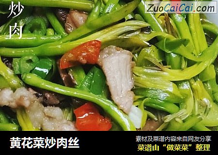 黃花菜炒肉絲封面圖